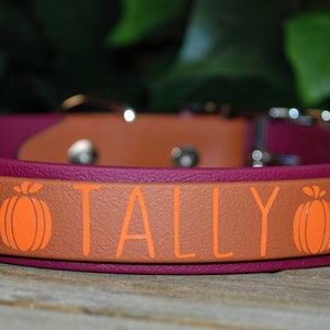 Fall Theme Collar - Biothane - Custom Name Dog Collar - Two-Tone Layered 1&quot; Inch Width: Waterproof, Adjustable, Durable, Easy to Clean