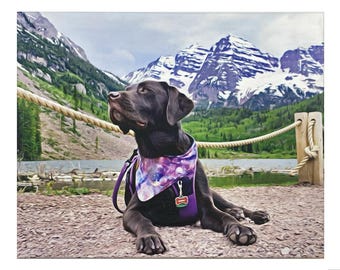 Haustier Gemälde, Haustier Porträt, Aquarell Haustier Gemälde, Benutzerdefinierte Hunde Porträt, Benutzerdefinierte Haustier Porträt, Haustier Geschenk, Hundemalerei, Haustier Gedenkgeschenk