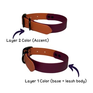 Custom Name Biothane Collar and Leash Combo - Two Tone image 9