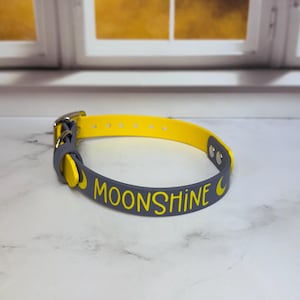 Custom Name Biothane Collar and Leash Combo - Two Tone image 3