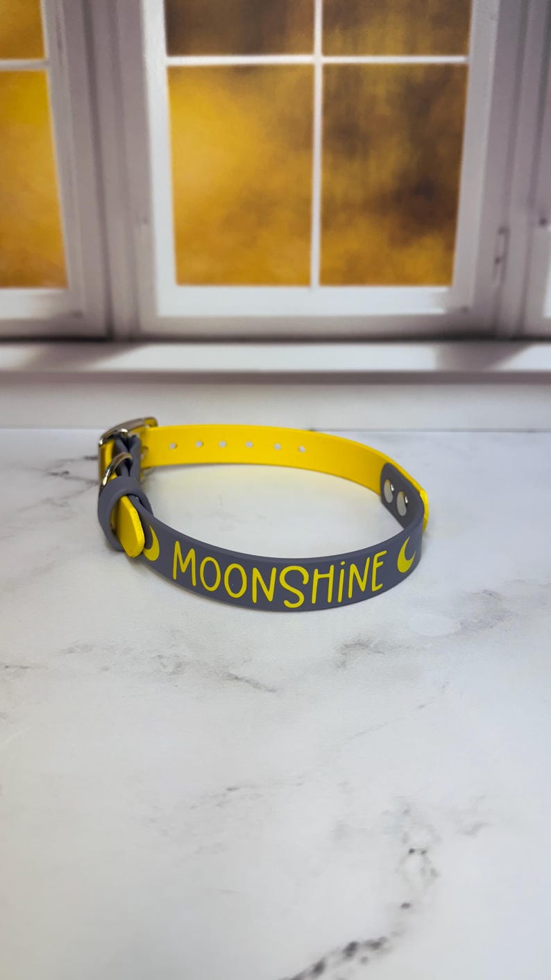 Custom Name Biothane Collar and Leash Combo - Two Tone image 3