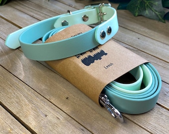 May include: A mint green dog collar and matching leash set. The collar has a silver buckle and rivets. The leash is rolled up and packaged in a brown paper sleeve with the word "Leash" printed on it. The set is displayed on a wooden surface.