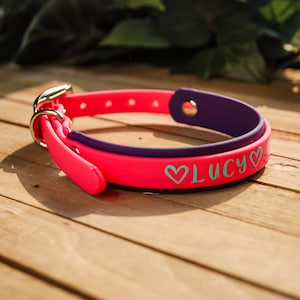 Custom Biothane Collar- Double-layered - Two-tone, 3/4