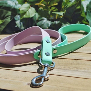 Two Tone Boithane Leash - Silver Hardware