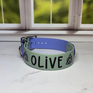 Custom Name Biothane Collar and Leash Combo - Two Tone image 2