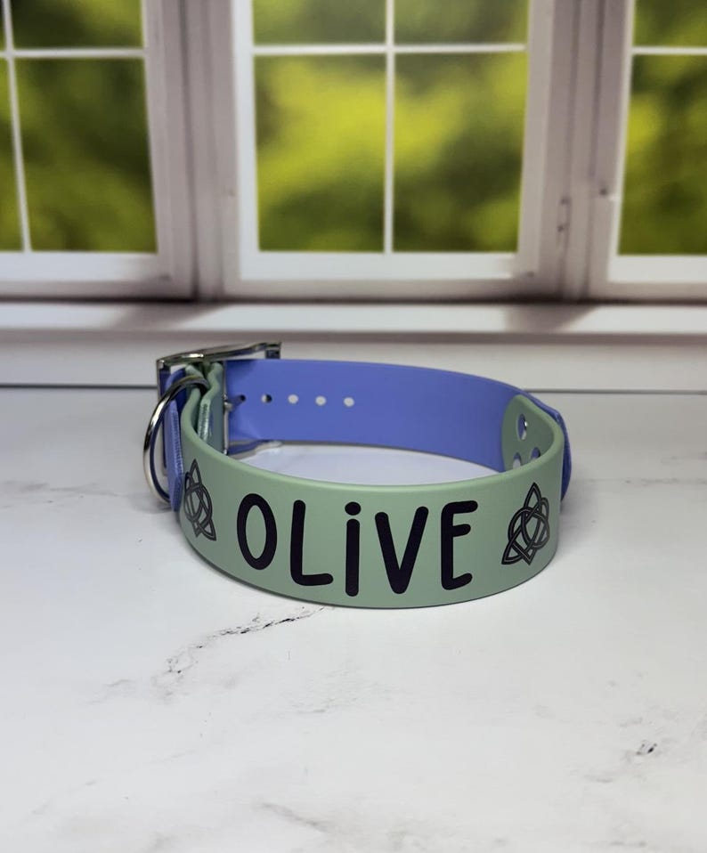 Custom Name Biothane Collar and Leash Combo - Two Tone image 2