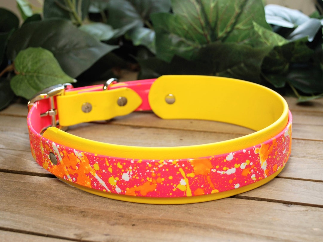 Splatter Paint Biothane Dog Collar Doublelayered 3/4, 1 & 1.5 Wide