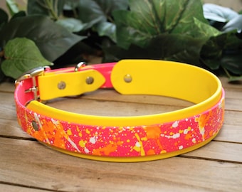 Splatter Paint - Biothane Hundehalsband, 2-lagig, 3/4", 2,5cm & 3,5cm breit: Wasserdicht, verstellbar, langlebig, leicht zu reinigen