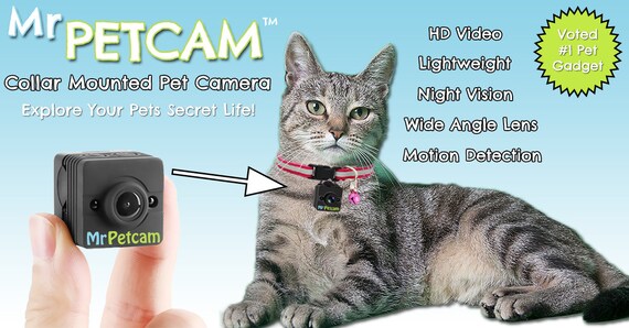 Mr Petcam HD Cat Collar Camera Collar Mounted Pet Camera - Etsy UK Mr Petcam HD Cat Collar Camera Collar Mounted Pet Camera - Etsy UK