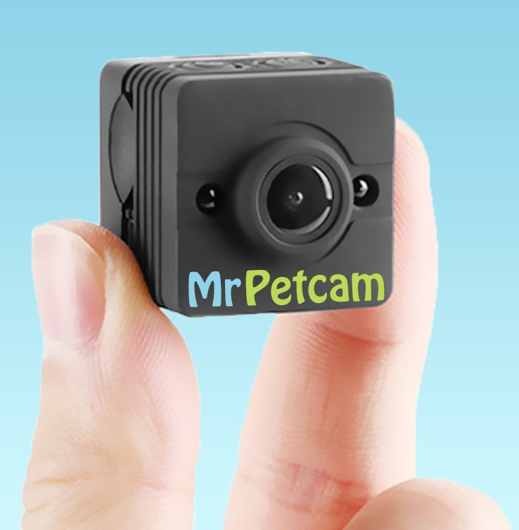 Mr Petcam HD Cat Collar Camera Collar Mounted Pet Camera - Etsy Ireland Mr Petcam HD Cat Collar Camera Collar Mounted Pet Camera - Etsy Ireland