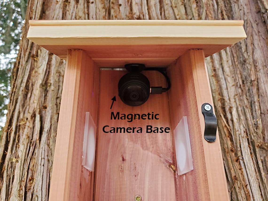 Chirp Cam™ the Birdhouse Spy Camera HD Video Night Etsy