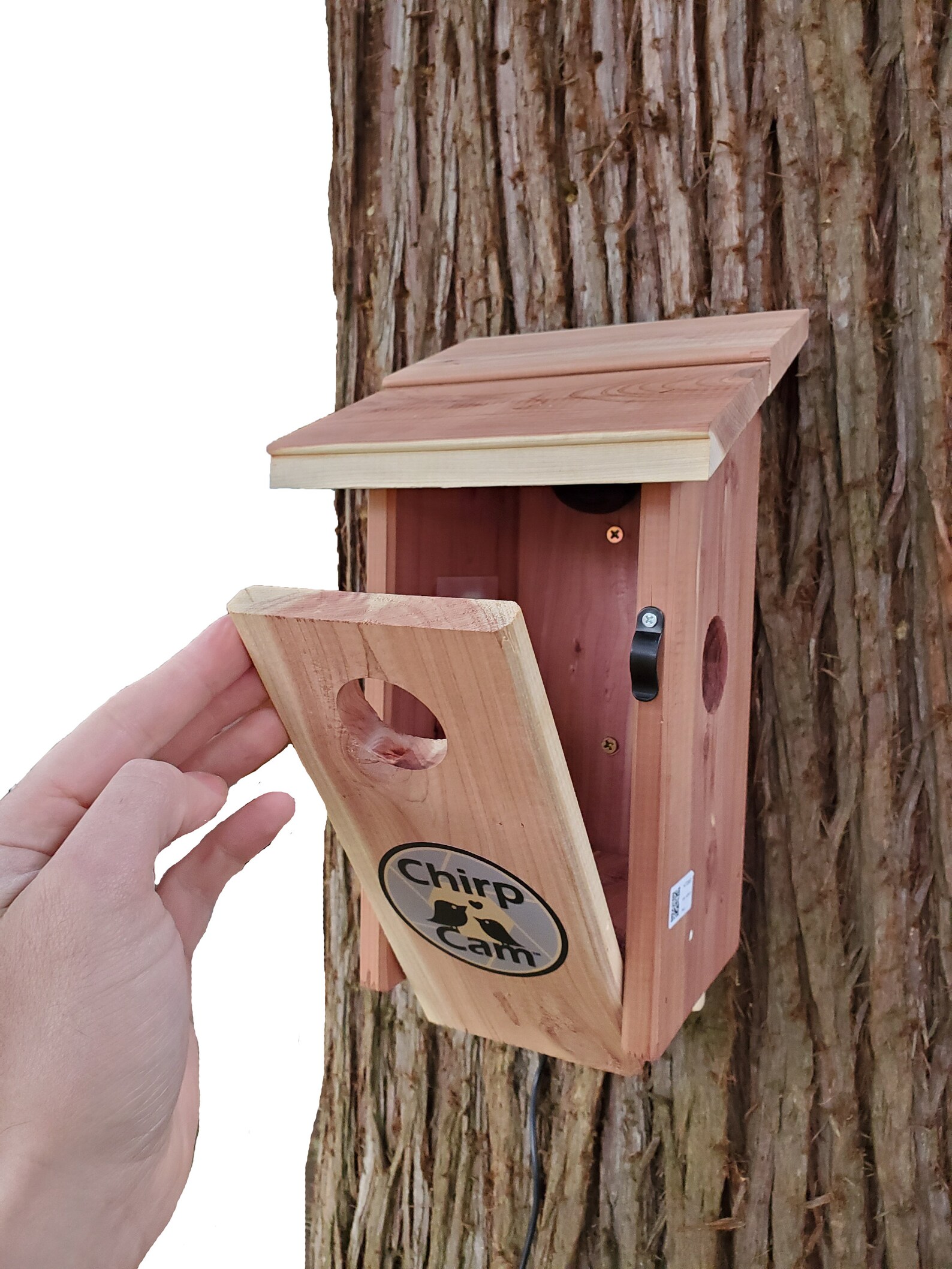 Chirp Cam™ The Birdhouse Spy Camera HD Video Night Etsy