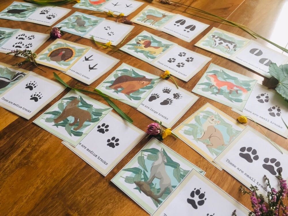 Animal Tracks Cardsmontessori Three Part Cards Nomenclature - Etsy