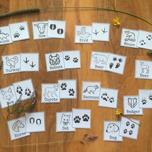 Animal Tracks Cardsmontessori Three Part Cards Nomenclature - Etsy