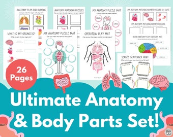 body parts worksheet etsy