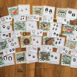 Schede con tracce di animali, schede Montessori in tre parti, schede di nomenclatura, studio degli animali, istruzione parentale, studio della natura, materiali didattici, stampabili