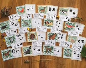 Tarjetas de huellas de animales, Tarjetas Montessori de tres partes, Tarjetas de nomenclatura, Estudio de animales, Educación en casa, Estudio de la naturaleza, Materiales educativos, Imprimibles