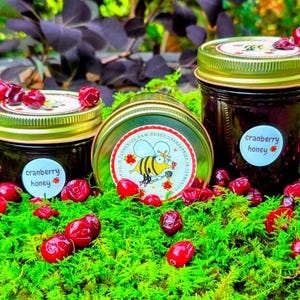 May include: Three glass jars of cranberry honey with gold lids are arranged on a bed of green moss, surrounded by fresh cranberries. Each jar has a label that reads "cranberry honey." One jar lid has cranberries on top. A jar lid has a bee graphic.