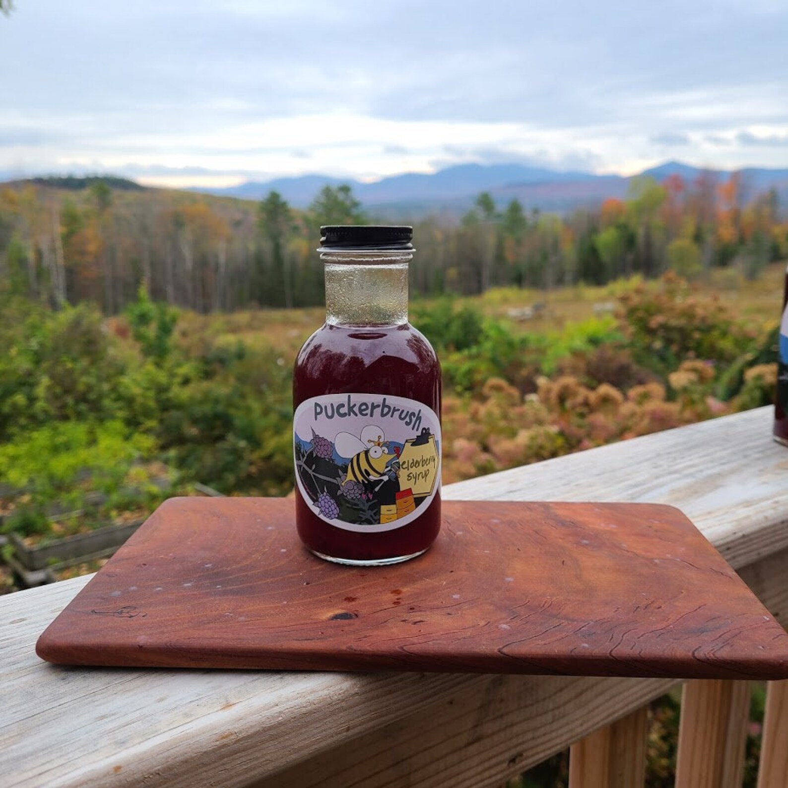 Elderberry Syrup 8 Ounce Bottle Fresh Elderberry Syrup in Pure Etsy UK