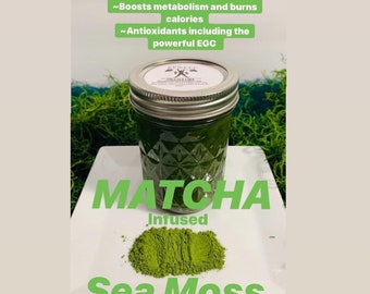 9oz- Organic Matcha Power infused Wildcrafted Sea Moss Gel