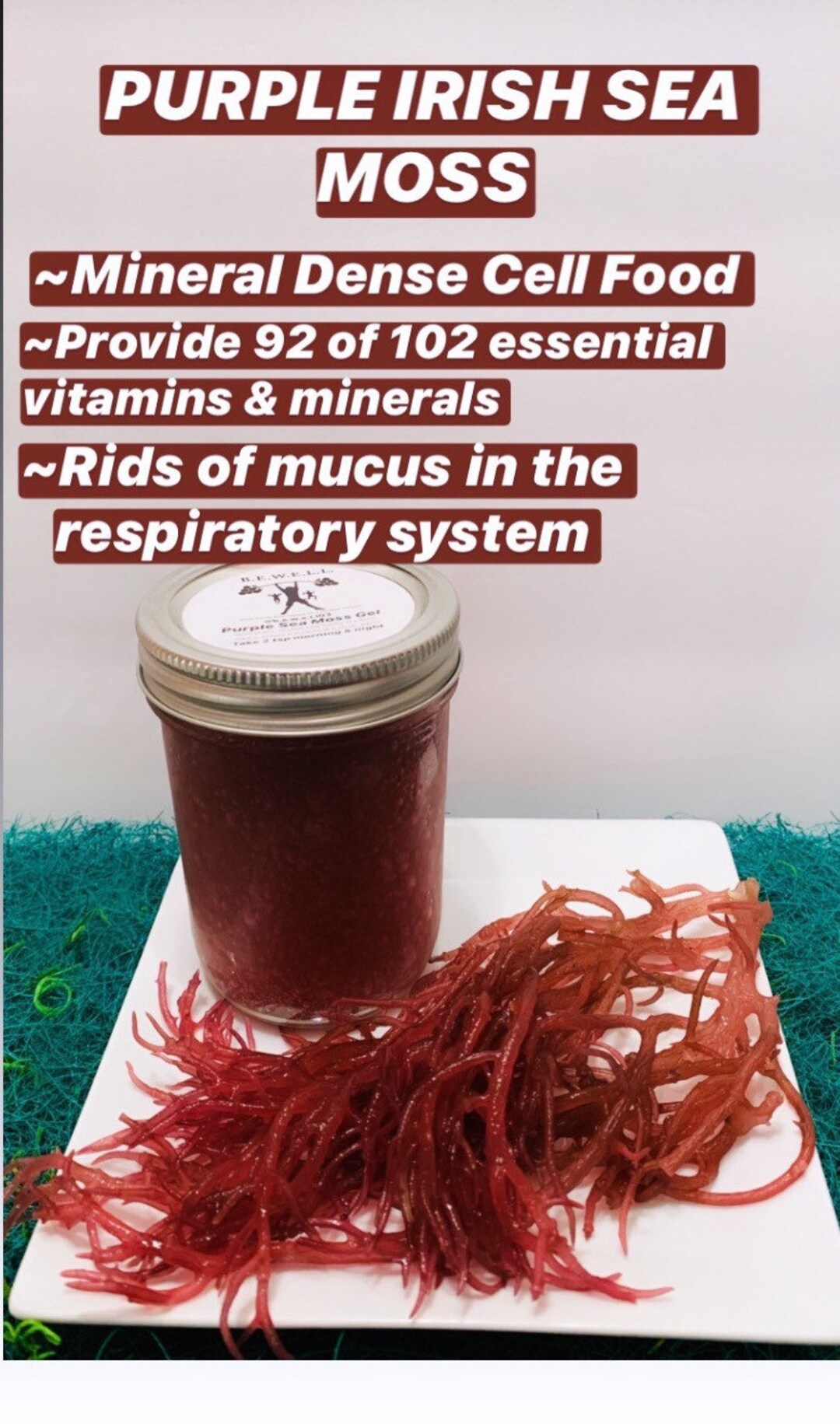 9oz Purple Irish Sea Moss - Etsy