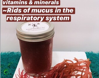 9oz~ Purple Irish Sea Moss