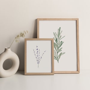 K&ouml;nnte beinhalten: Zwei gerahmte botanische Drucke mit Aquarellillustrationen. Einer zeigt Lavendelzweige in Lilat&ouml;nen, der andere einen gr&uuml;nen Rosmarinzweig. Die Rahmen sind aus hellem Holz, und der Hintergrund ist neutral.