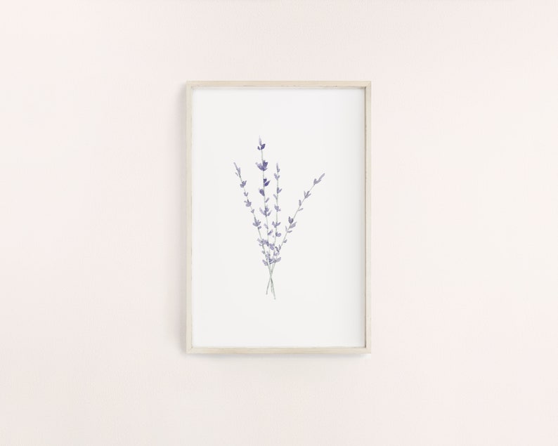 K&ouml;nnte beinhalten: Ein gerahmter Druck mit einer Aquarellillustration von Lavendelzweigen. Das Kunstwerk zeigt ein B&uuml;ndel lila Lavendelstiele vor einem wei&szlig;en Hintergrund. Der Rahmen hat eine helle, nat&uuml;rliche Holzfarbe und verleiht der botanischen Kunst einen rustikalen Charme.