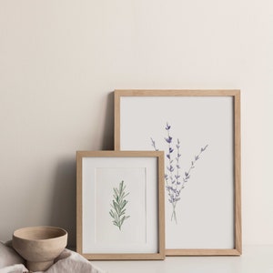 K&ouml;nnte beinhalten: Zwei gerahmte botanische Drucke mit hellen Holzrahmen. Ein Druck zeigt einen Rosmarinzweig, der andere einen Lavendelstrau&szlig;. Eine kleine, beige Schale und ein Leinentuch befinden sich im Vordergrund.