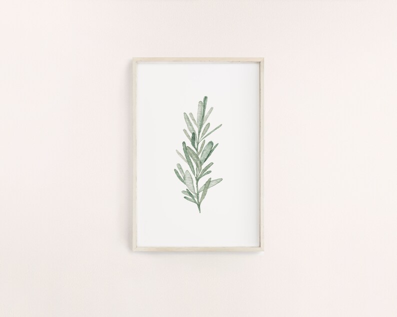K&ouml;nnte beinhalten: Ein gerahmter Aquarelldruck mit einem Rosmarinzweig. Das Kunstwerk zeigt eine detaillierte Darstellung des gr&uuml;nen Krauts vor einem wei&szlig;en Hintergrund, umrahmt von einem hellen Holzrahmen. Die botanische Illustration ist ein einfaches, elegantes St&uuml;ck.