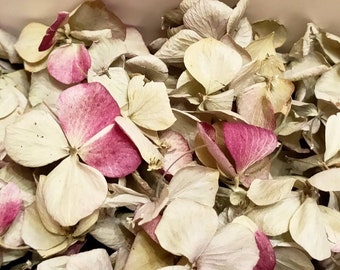 Biodegradable Confetti, Real Flower Petal Wedding Confetti, Wedding Favours, Hydrangea Petals, Marigold Petals, Eco Confetti Dried Petal