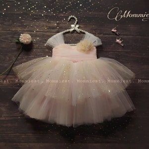 Tule roségouden babyjurk, verjaardag babyjurk, babyjurkfeest, babyjurk bruiloft, babyjurk fotoshoot, babyjurk speciale gelegenheid