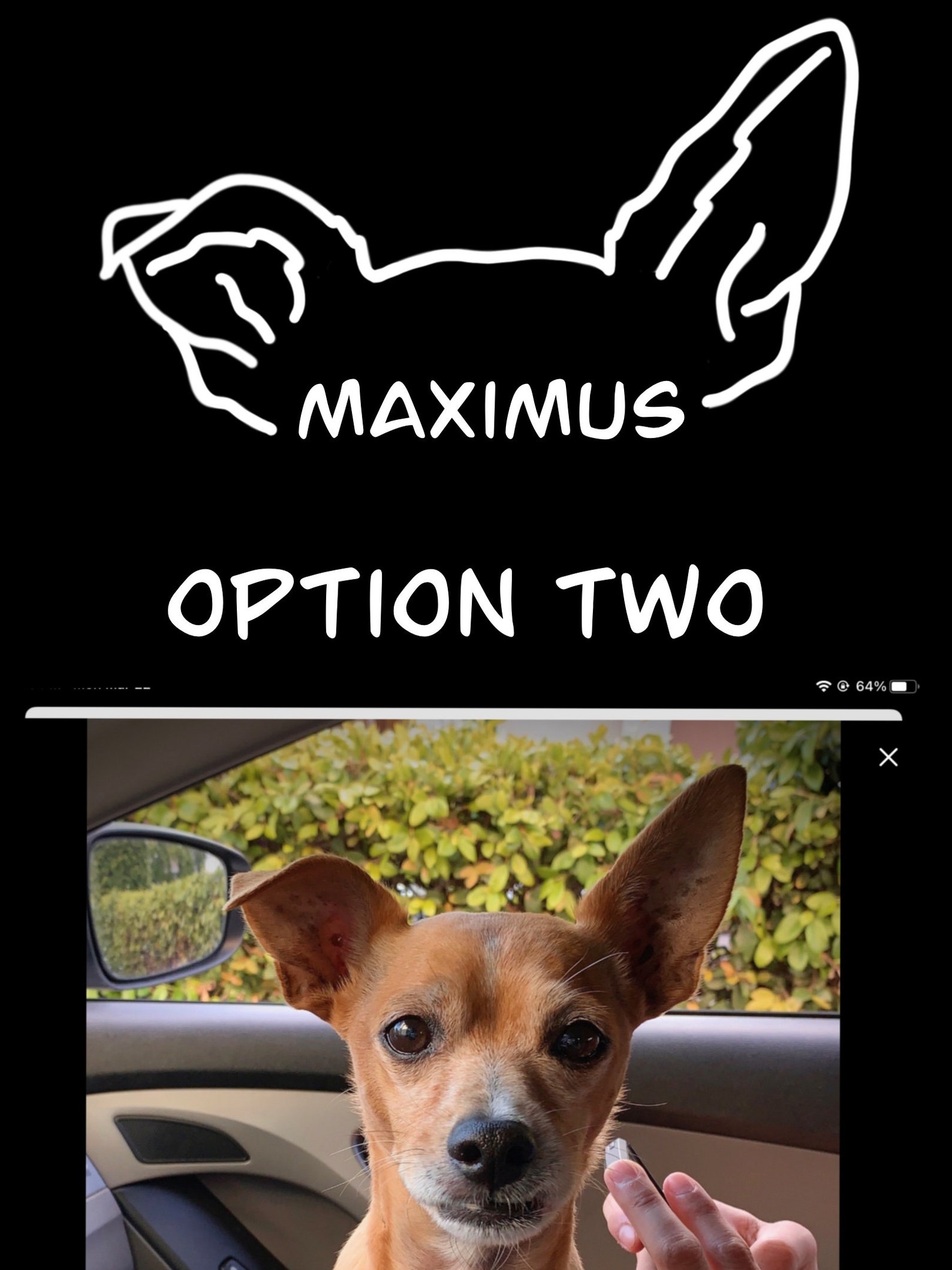 Custom Pet Ears Sticker Decal / Dog Ears Sticker Decal Car Etsy