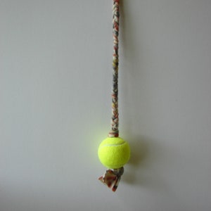 May include: A yellow tennis ball attached to a braided rope with a multi-colored pattern. The rope is tied at the top.