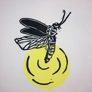 Lightning bug