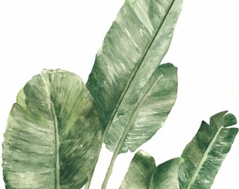 Hand painted Botanical Plant Prints, Botanical Illustration, Wall Art, Home Decor, Leaf Prints