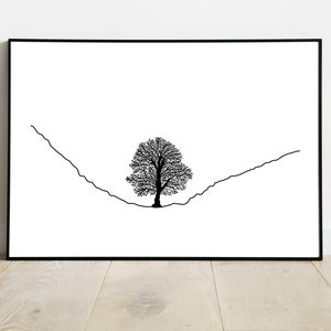 May include: A black and white line drawing of a tree in a valley. The tree is in the centre of the image and the valley is formed by two lines that curve up and away from the tree.