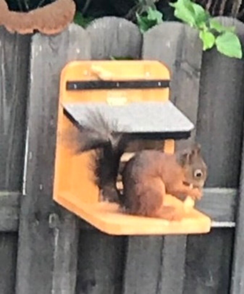 Squirrel Feed house Feed dispenser Weatherproof Squirrel Etsy