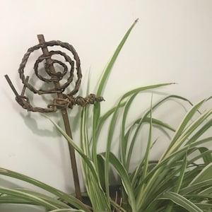 May include: A brown twig with a woven spiral design, resembling a decorative plant stake, is placed in a pot of green and white striped foliage.