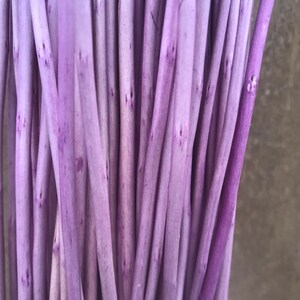 May include: A bunch of thin, purple stems with a textured surface.