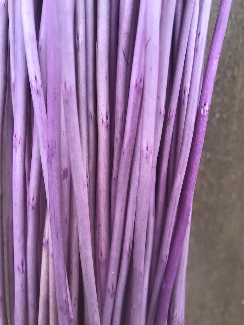May include: A bunch of thin, purple stems with a textured surface.