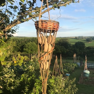May include: A woven wicker bird feeder in the shape of a cone hangs from a tree branch. The feeder is filled with several round, brown birdseed cakes.