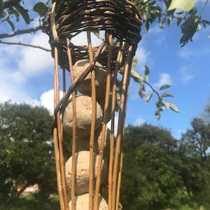 May include: A woven wicker bird feeder with four round suet cakes inside. The feeder is hanging from a tree branch.