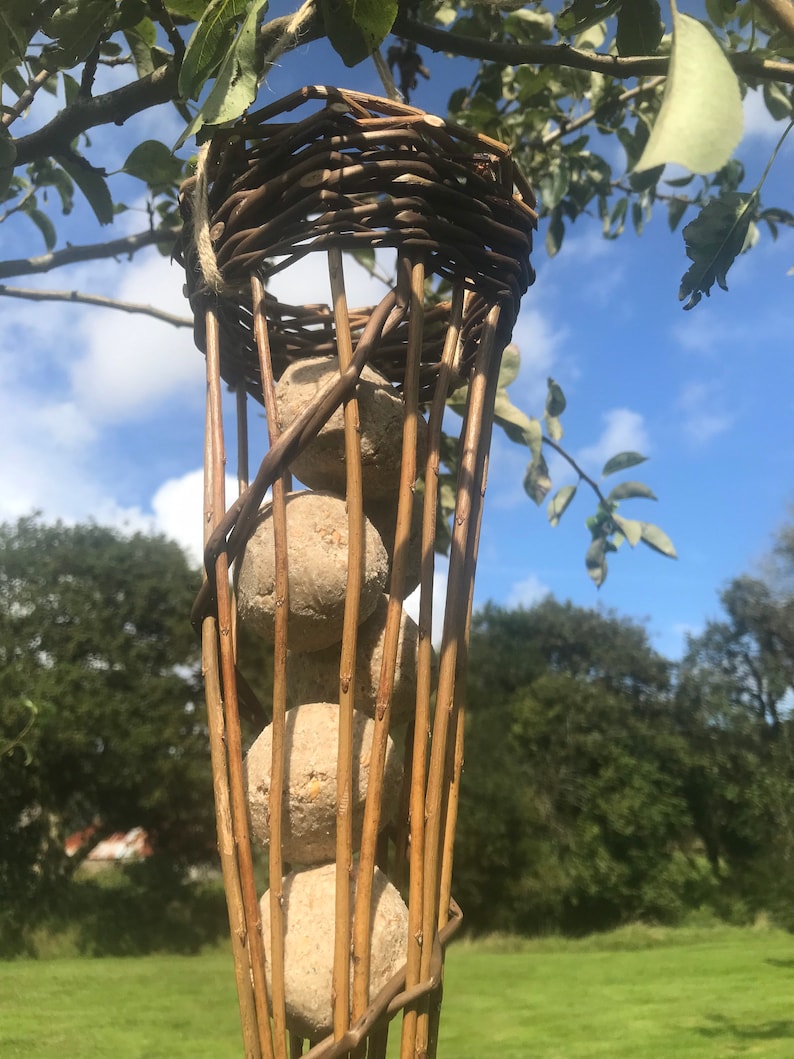 May include: A woven wicker bird feeder with four round suet cakes inside. The feeder is hanging from a tree branch.