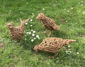May include: Three woven bird sculptures made of twigs and branches. The birds are arranged in a circle on a bed of green grass with white flowers.