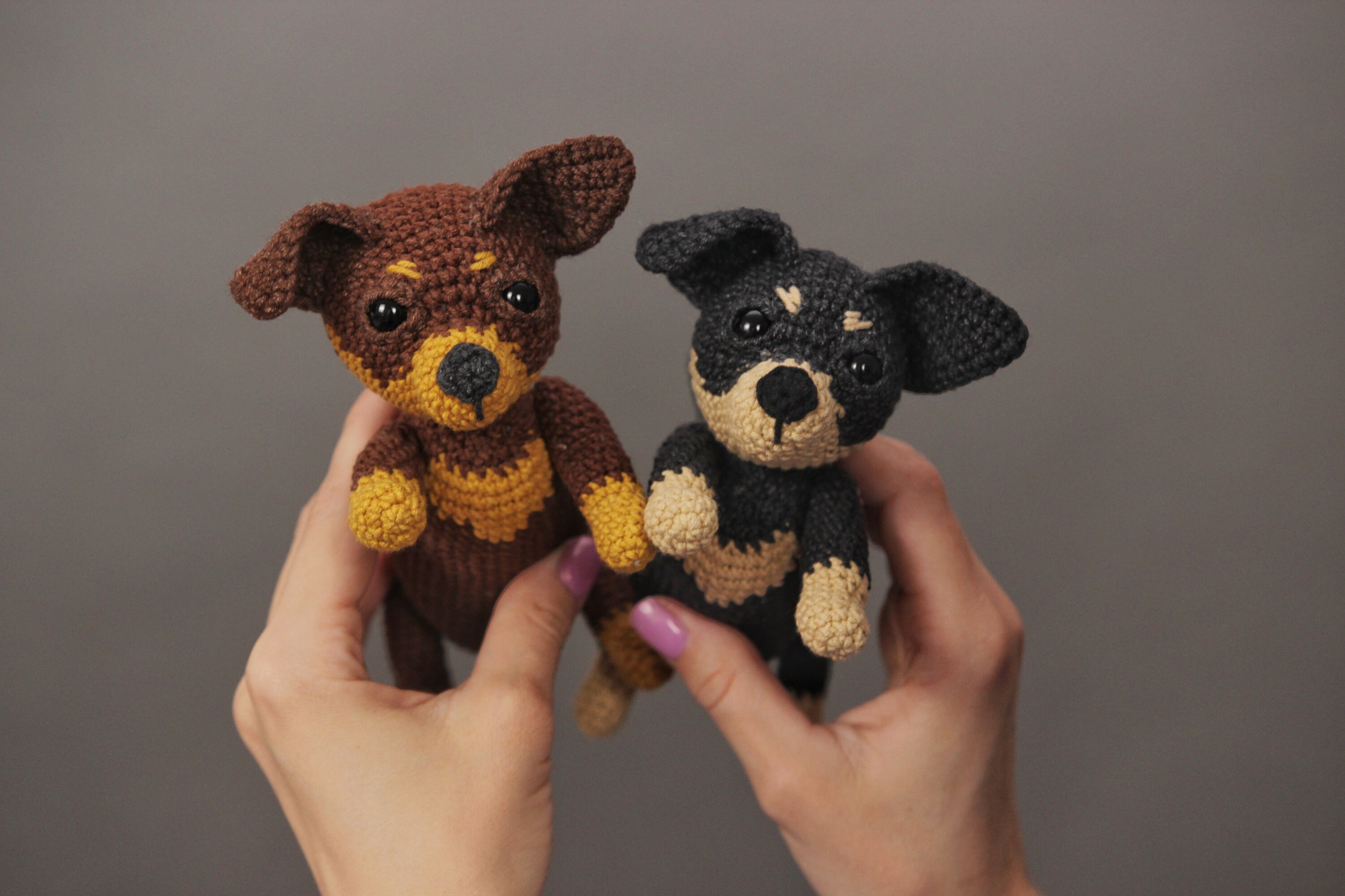 Chiweenie plush discount