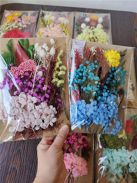 Pressed Flowers Pack, Dry Flowers for Resin Art, DIY Dried Flowers