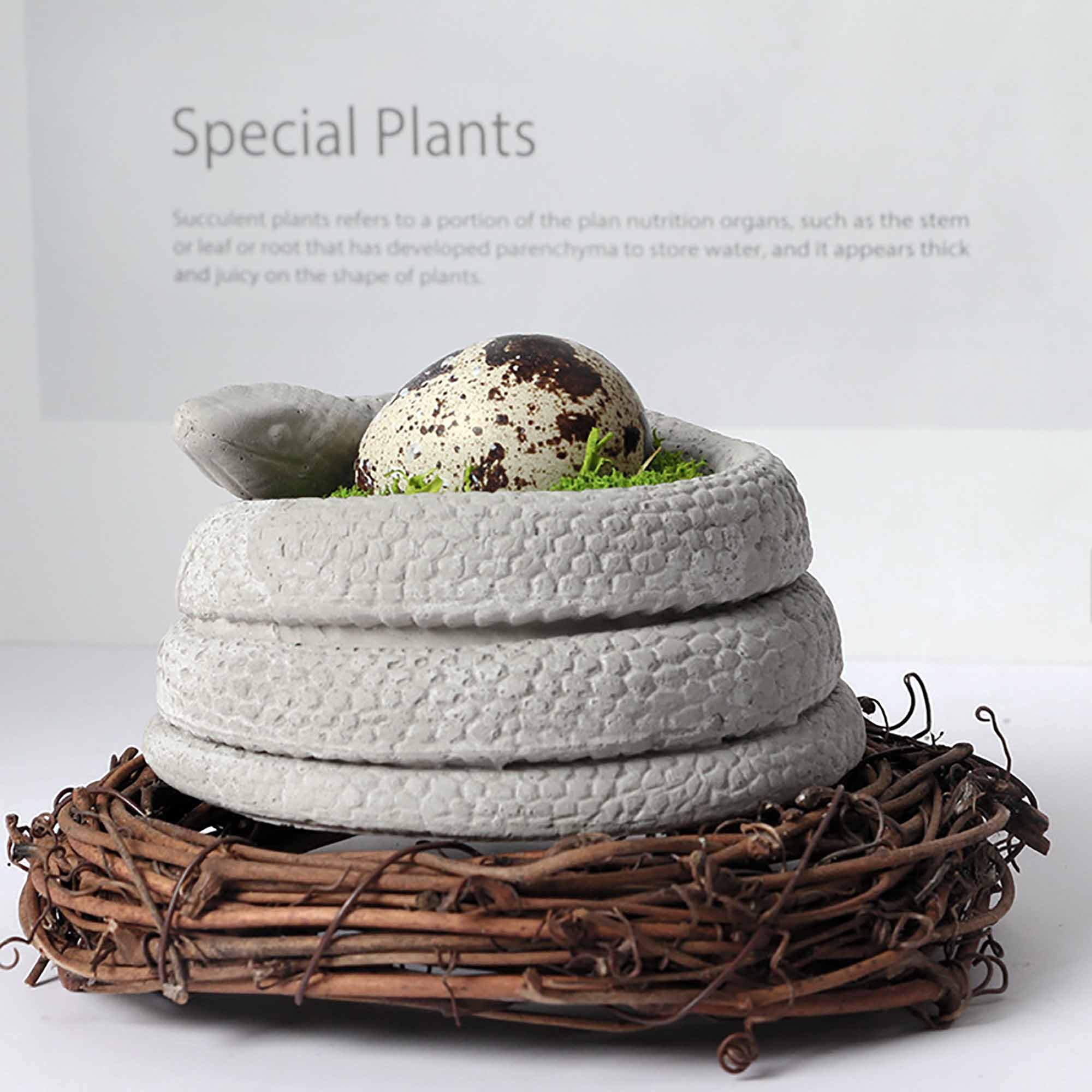 Coiled Snake Candle Holder Mold Silicone Mold for Concrete Etsy