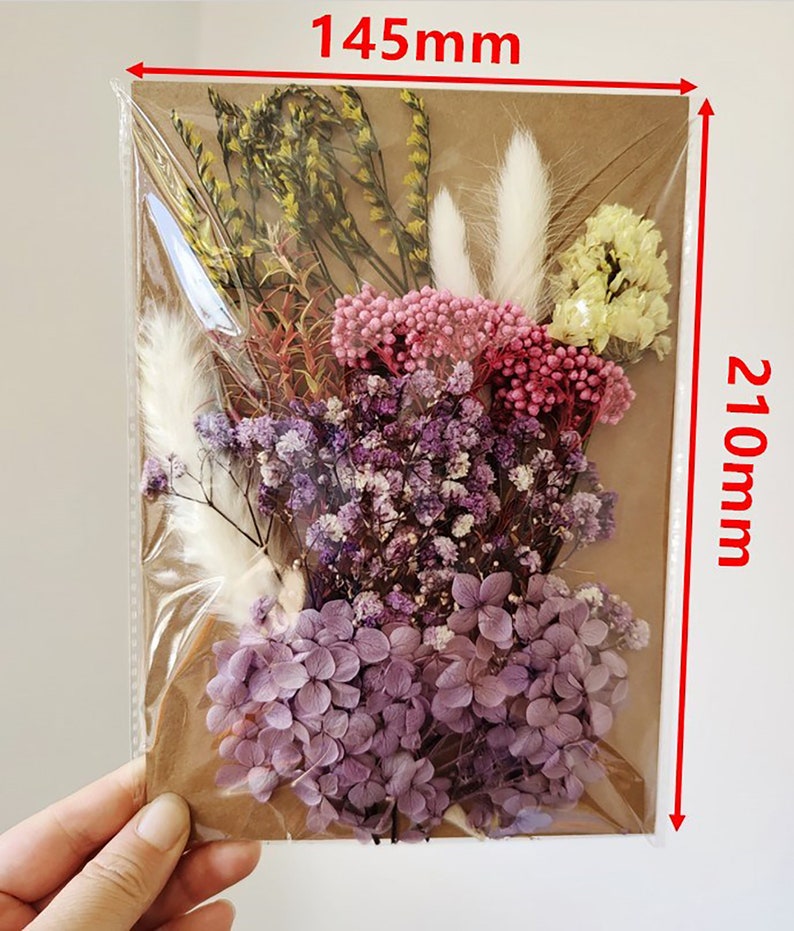 Pressed Flowers Pack Dry Flowers for Resin Art DIY Dried Etsy