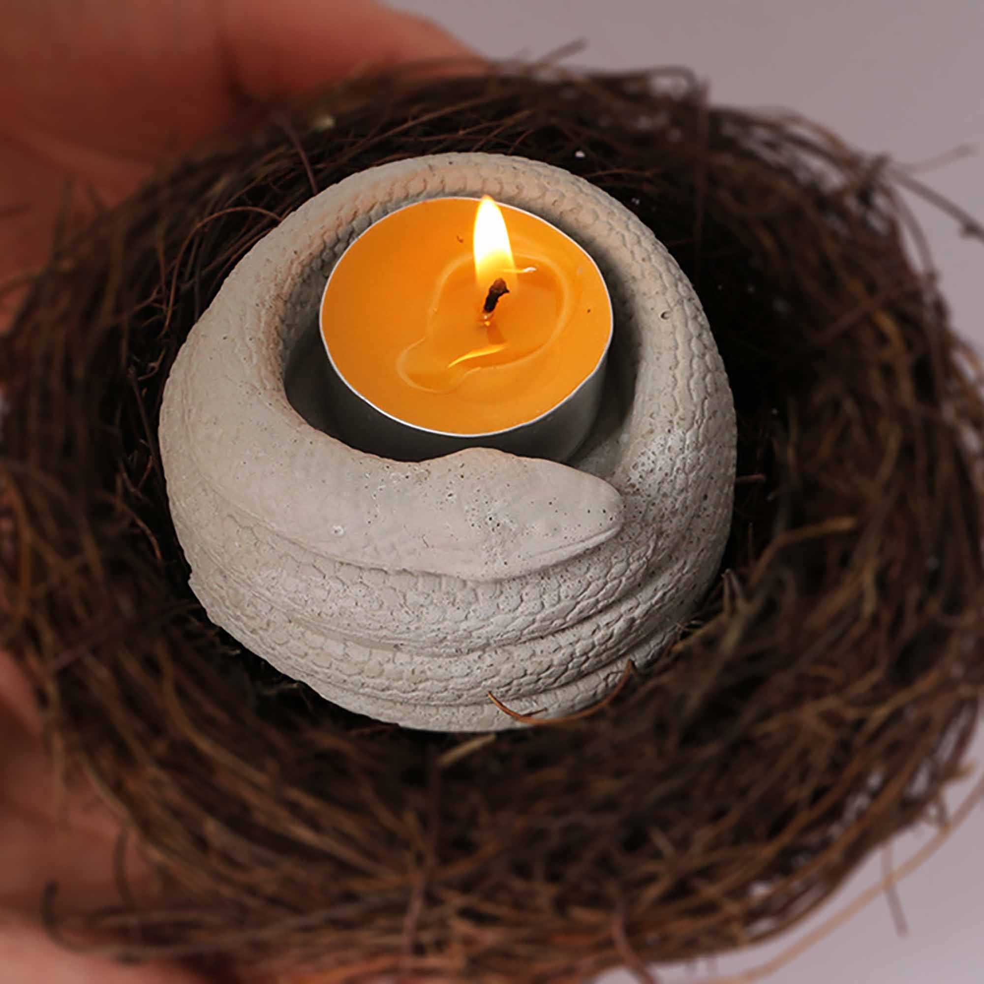 Coiled Snake Candle Holder Mold Silicone Mold for Concrete Etsy